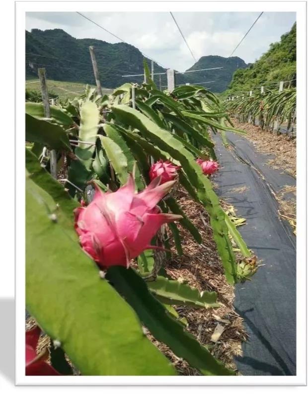 2.jpg 2.jpg