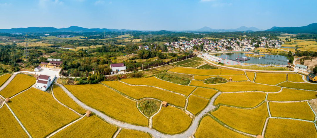 寰俊鍥剧墖_20220620102347.png 寰俊鍥剧墖_20220620102347.png